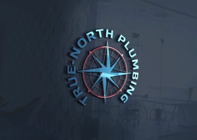 true north plumbing logo